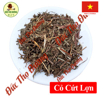 Cỏ cứt lợn - hy thiêm thảo - phơi sấy khô - túi 100g