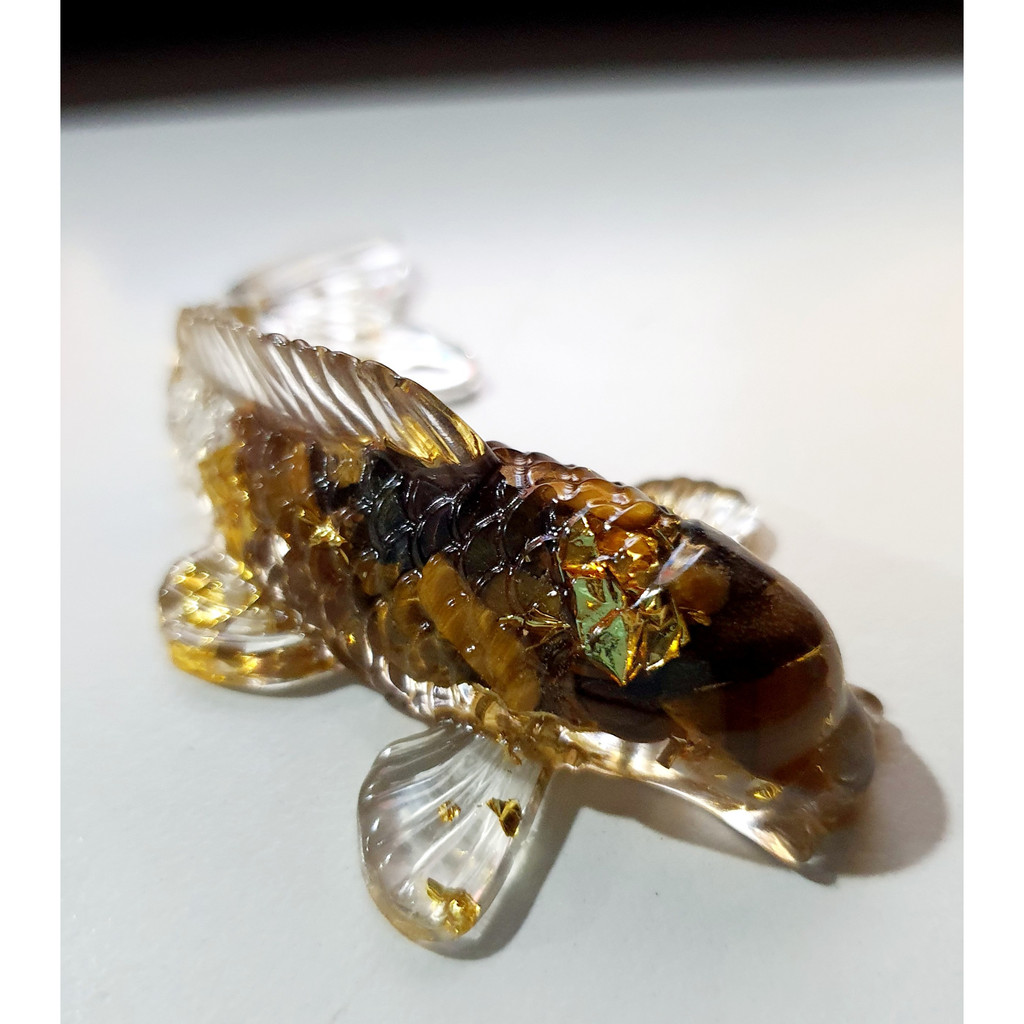 Cá koi phong thủy thả bát minh đường tụ thủy