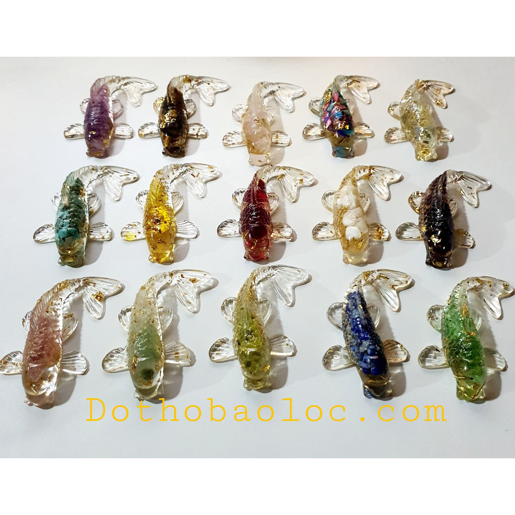 Cá koi phong thủy thả bát minh đường tụ thủy