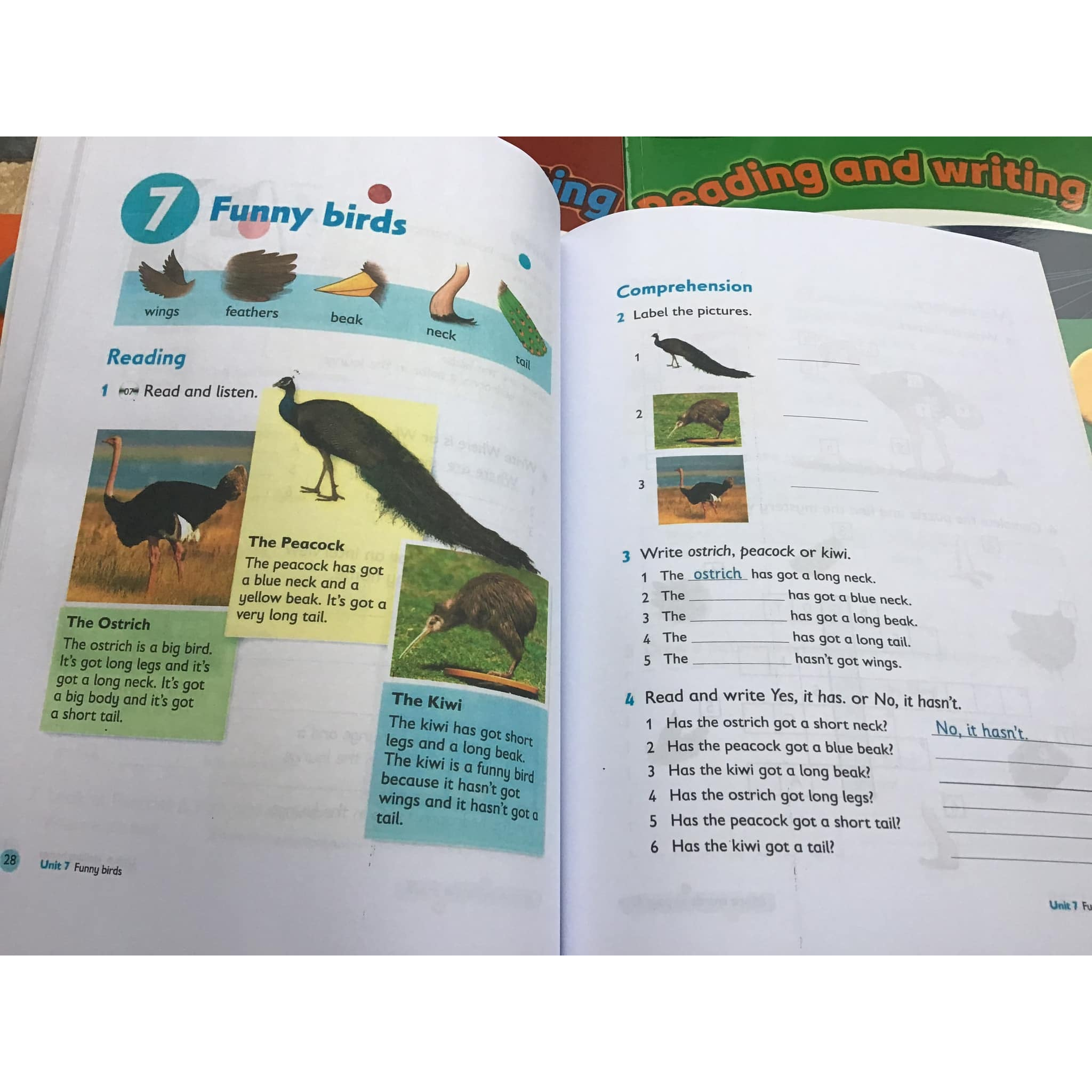 OXFORD PRIMARY SKILL -  Reading and Writing 6q tặng kèm file nghe