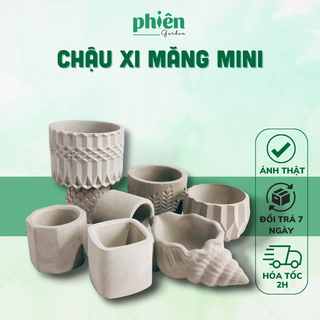 Chậu xi măng mini trồng sen đá, xương rồng, chậu xi măng vuông tròn đủ kích thước