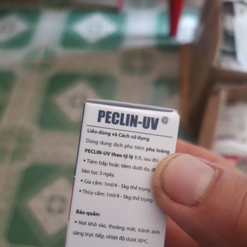 Bộ Peclin-uv tang cho gà đá-giảm phù nề, ort, khớp, tiêu chảy