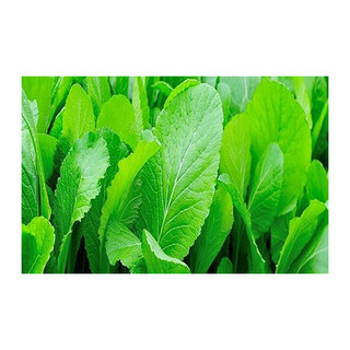 Phân Bón Supe Lân - Phân Lân 1kg ( Lân Lâm Thao dạng bột)