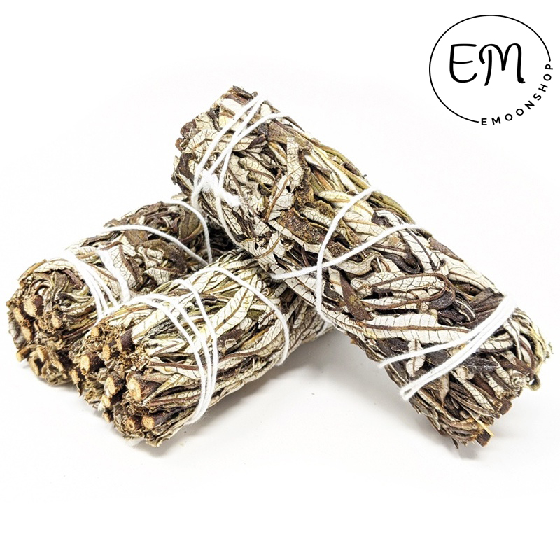 Thánh Thảo Dược - Yerba Santa Xô Thơm Xông Phòng Hương Thơm Dịu Nhẹ Giảm Mệt Mỏi Căng Thẳng Hỗ Trợ Tập Yoga