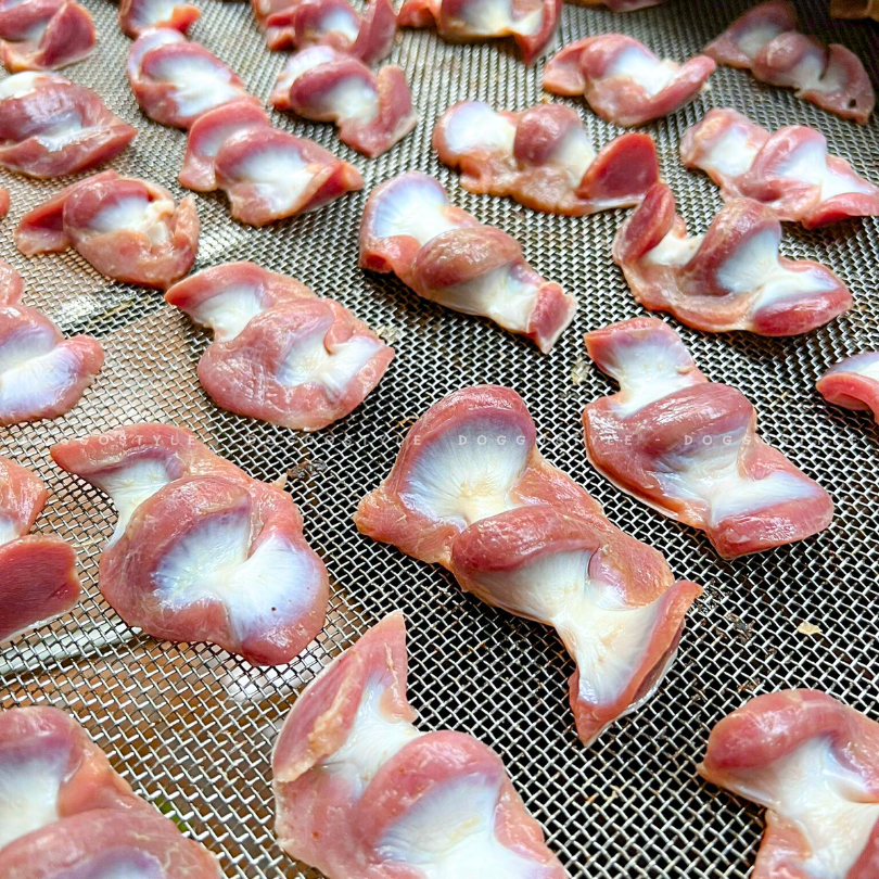 Treat Bánh Thường Mề Gà Sấy Khô DOGGOSTYLE Homemade Gói 50G Cung Cấp Protein Dinh Dưỡng Cho Chó