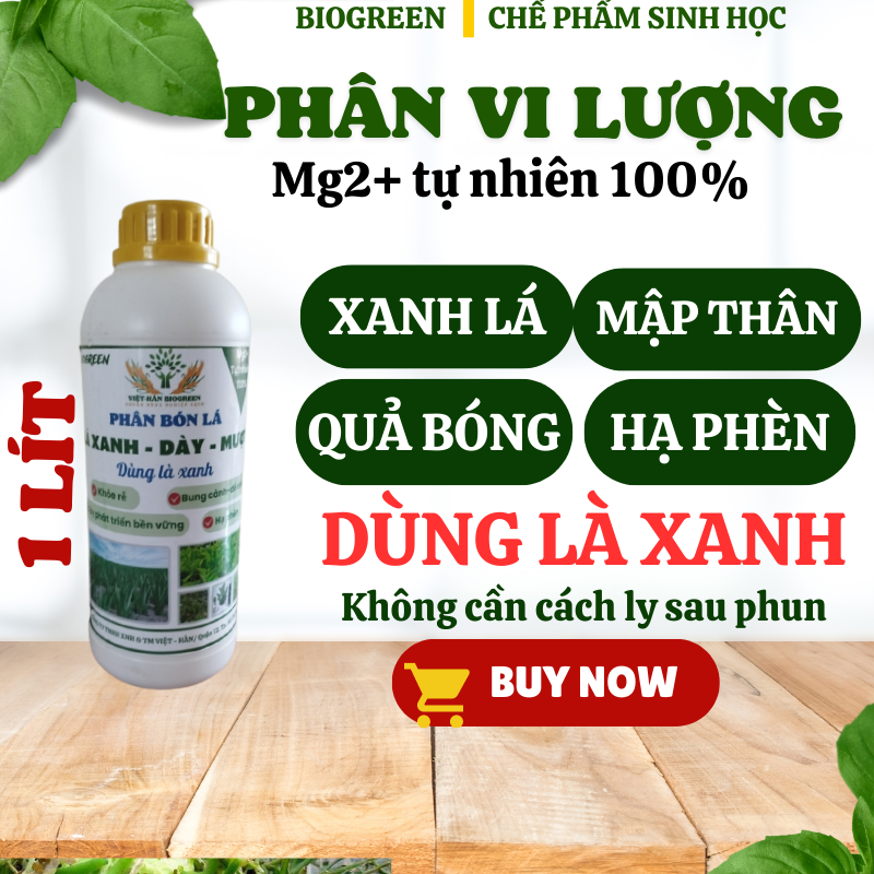 Phân bón lá vi lượng siêu magie chống vàng lá làm lá xanh dày mướt, thân cây mập cho mọi loại cây