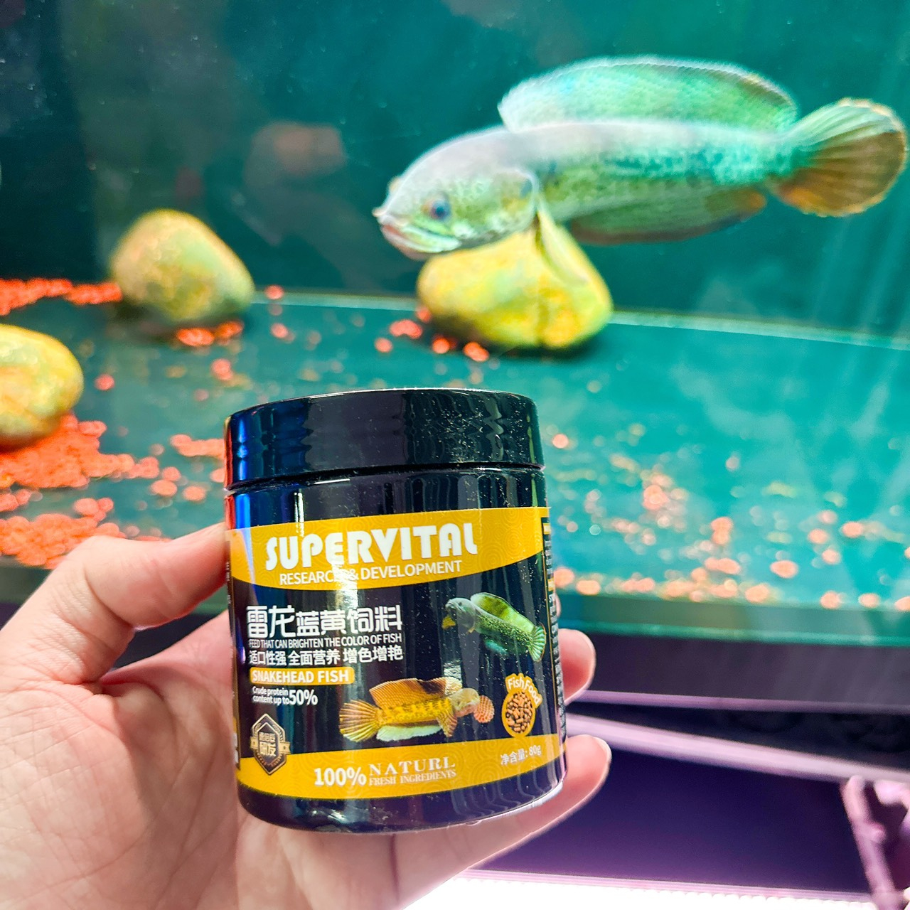 Thức Ăn Cá Lóc Giúp Lên Màu Sắc Bóng Vảy Sung Khỏe  SUPERVITAL Hủ 80g
