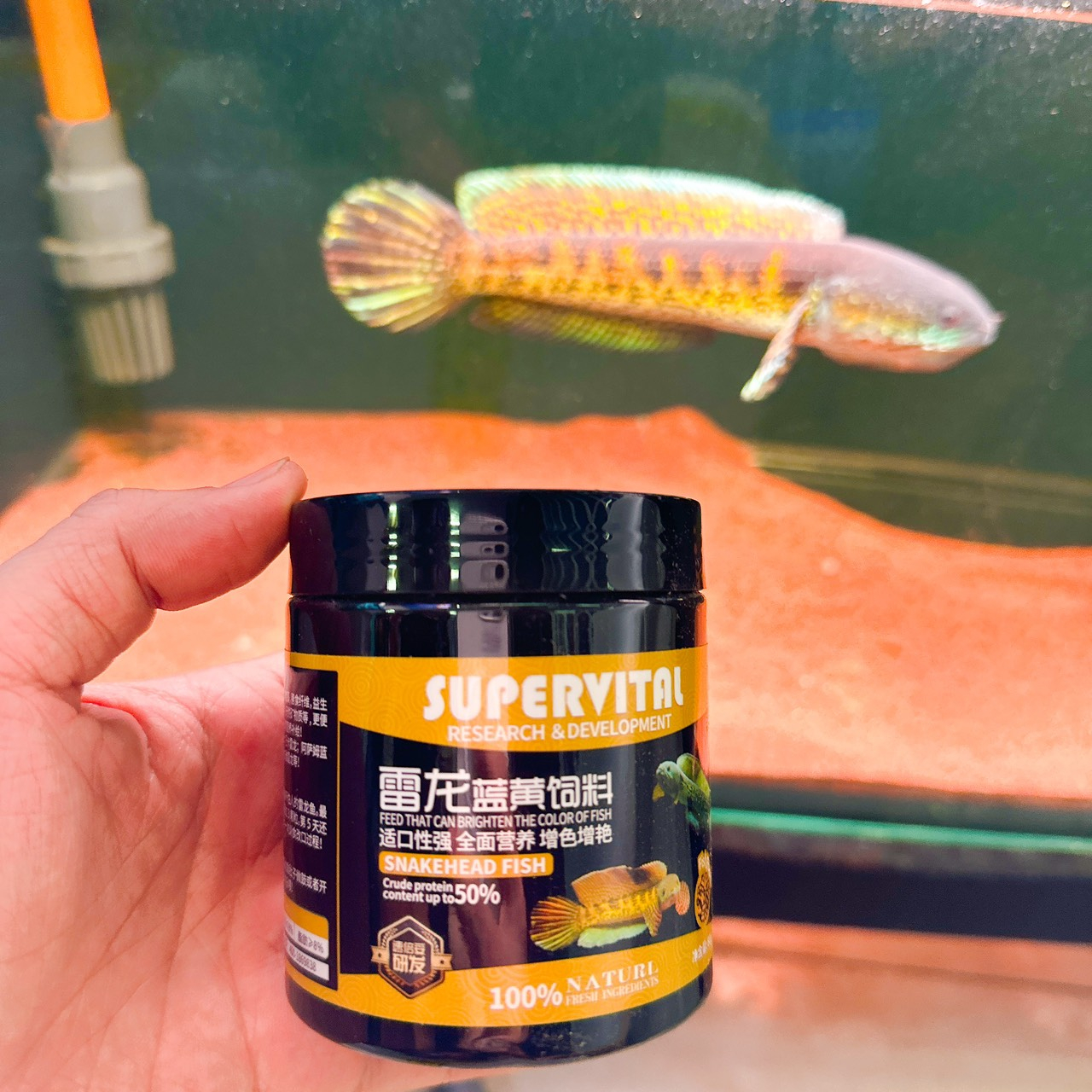 Thức Ăn Cá Lóc Giúp Lên Màu Sắc Bóng Vảy Sung Khỏe  SUPERVITAL Hủ 80g