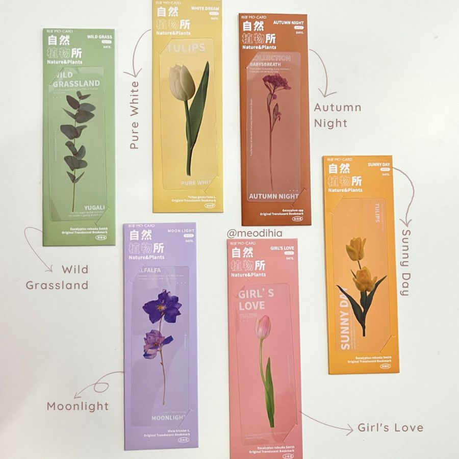 COMBO 5 BOOKMARK ĐÁNH DẤU SÁCH TRONG SUỐT VỚI HOẠ TIẾT HOA TƯƠI VINTAGE