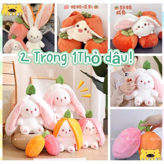 Gấu bông thỏ dâu thỏ cà rốt 2 trong 1 siêu hot