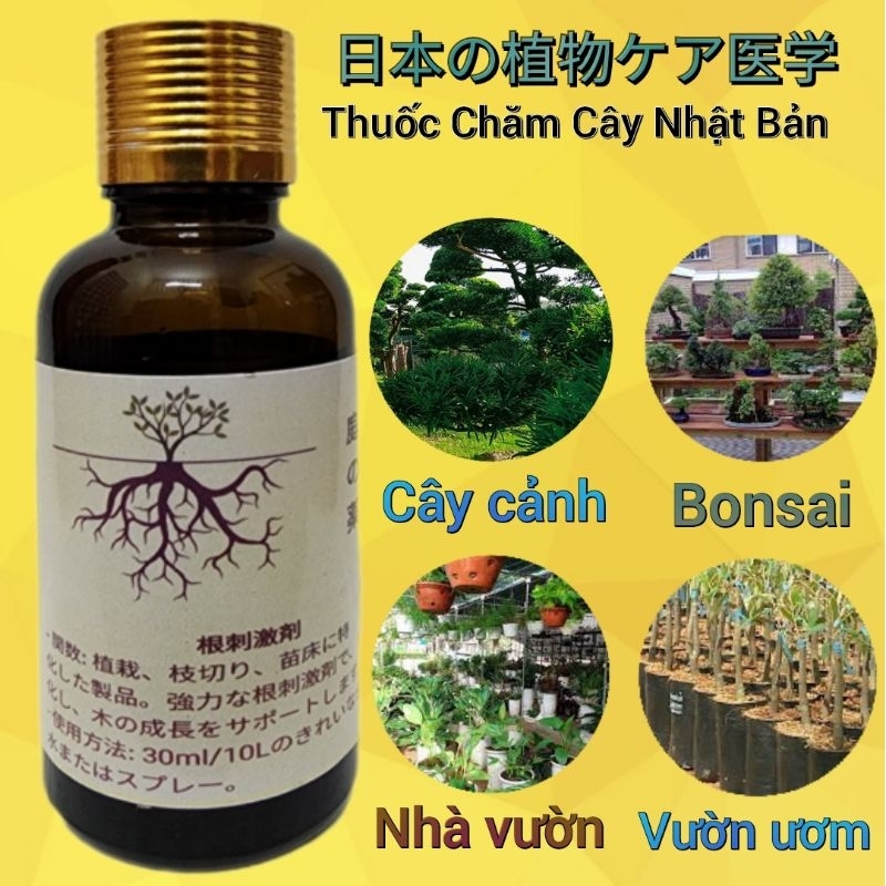 Chất kích rễ, ngâm kích rễ phôi cây cảnh, chiết cành, ươm cành, kích chồi, dưỡng cây, hồi sức cây yếu.