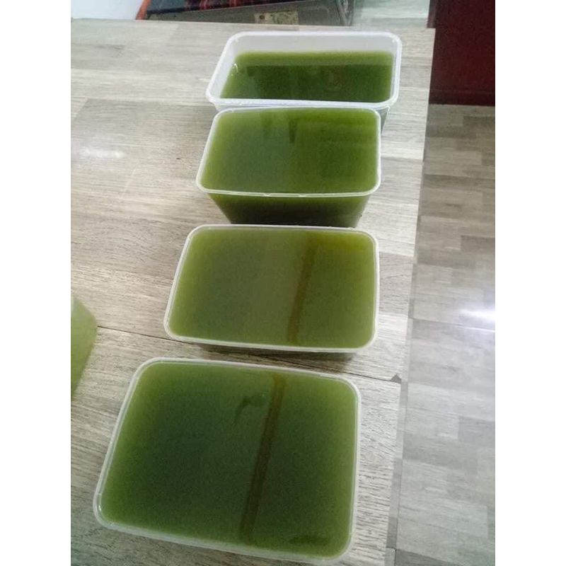 COMBO 1Kg Bột Thạch Găng nguyên chất nhà làm