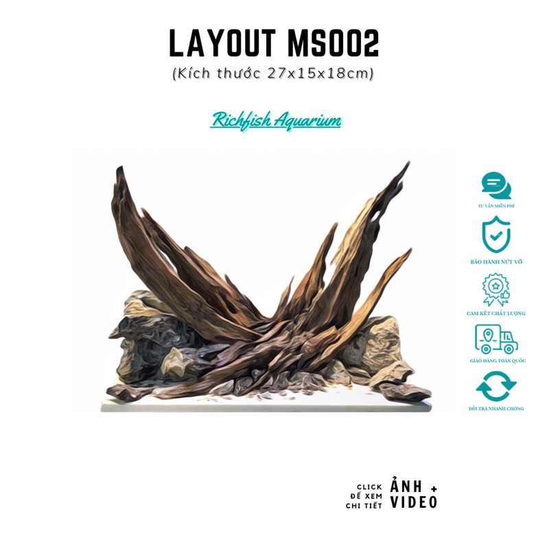 Layout Nature Kích thước vừa vặn cho hồ kính 30x20x20cm (Ms002)