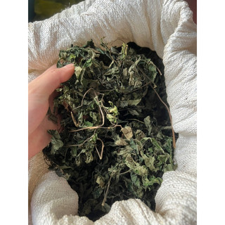 Lá đắng ( lá cơm kìa rừng Tây Bắc ) Túi 500gr