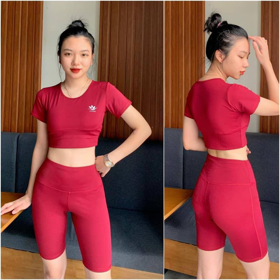 Bộ quần áo tập gym yoga nữ áo croptop có mút ngực quần legging lửng nâng mông đồ tập gym yoga nữ