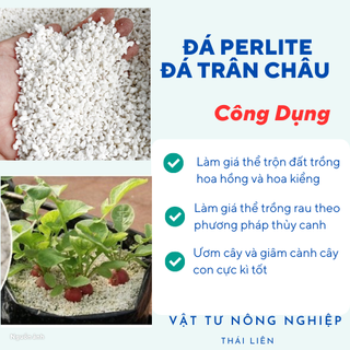 Đá perlite (100g) - Đá trân châu giàu khoáng chất