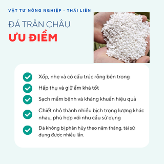 Đá perlite (100g) - Đá trân châu giàu khoáng chất