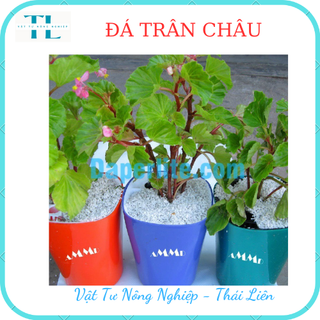 Đá perlite (100g) - Đá trân châu giàu khoáng chất