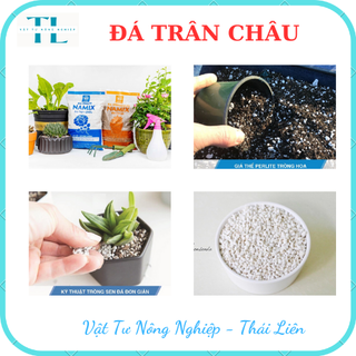 Đá perlite (100g) - Đá trân châu giàu khoáng chất