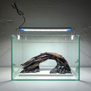 Hardscape Cầu Vồng Ver.1 l Layout Trang Trí Bể Thủy Sinh Đa Dạng Kích Thước | RF Aquarium