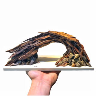 Hardscape Cầu Vồng Ver.1 l Layout Trang Trí Bể Thủy Sinh Đa Dạng Kích Thước | RF Aquarium