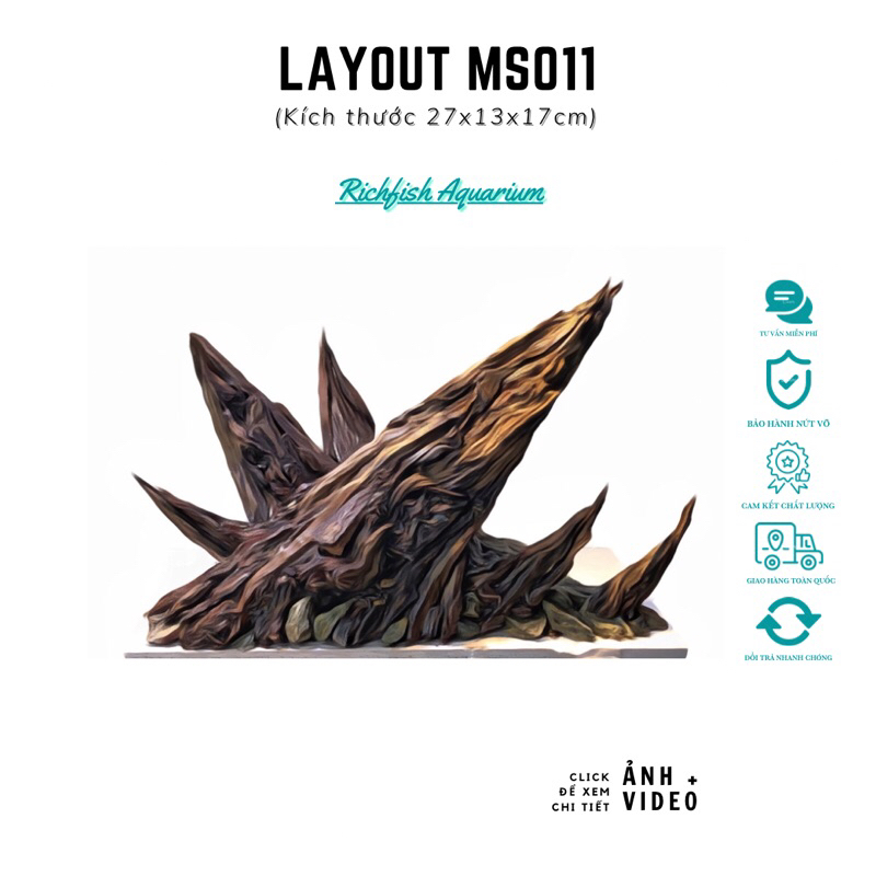Layout Nature Tia Chớp tiểu cảnh bể cá dài 30cm (Ms011)