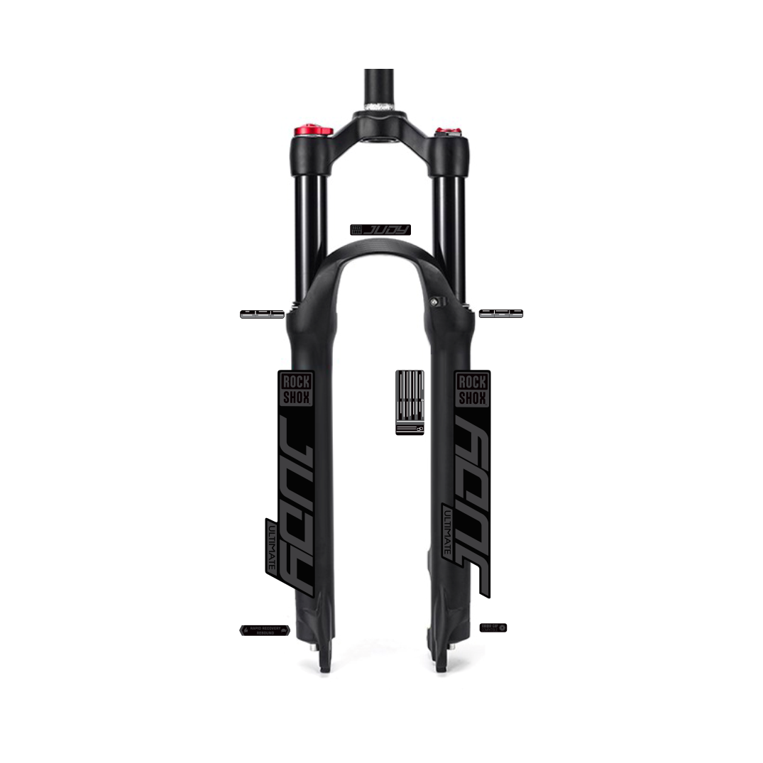 tem decal dán phuộc xe đạp địa hình rockshox judy custom | cheetahdecals.com
