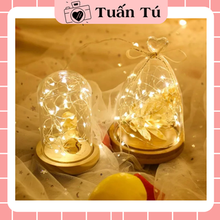 Đèn Led đom đóm dài 1m, 2m, 3m kèm pin, dây đèn Led fairylight