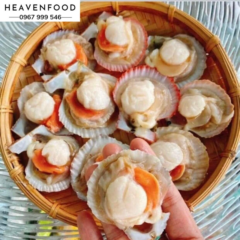 Sò điệp nữa mảnh baby 20-25 con/kg. Hàng nhập khẩu