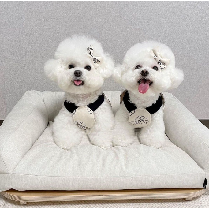 SET JUM VÀ VÁY YẾM CẶP ĐÔI THỎ CUTE MÁT MẺ MÙA HÈ CHO THÚ CƯNG