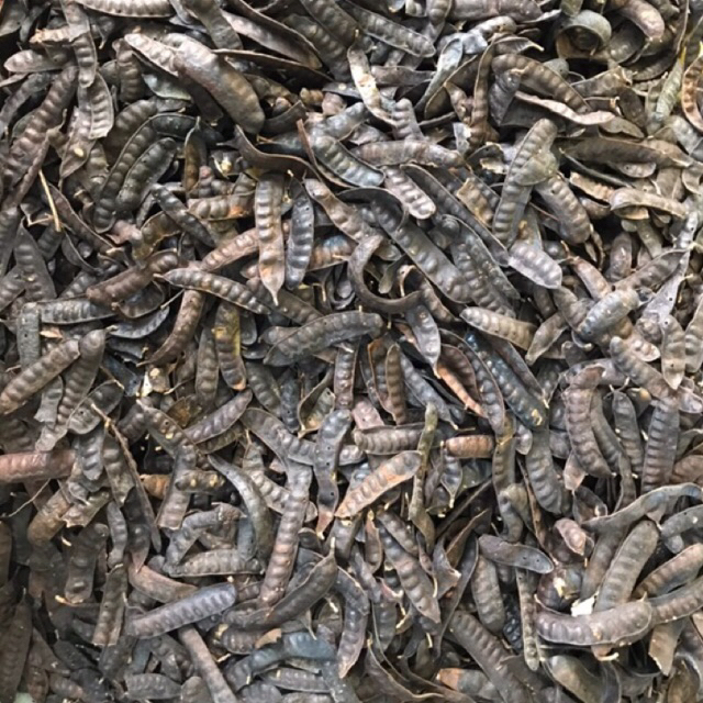 Bồ Kết Khô 100g