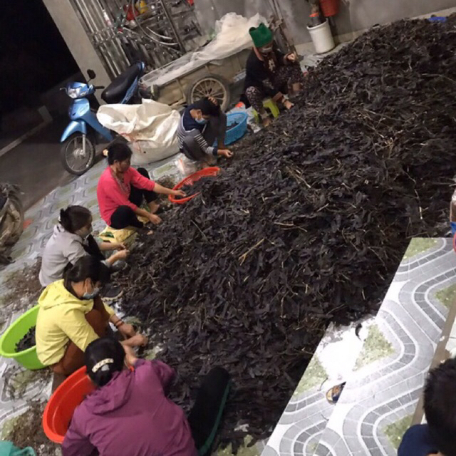 Bồ Kết Khô 100g