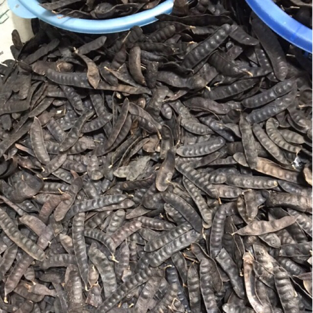 Bồ Kết Khô 100g