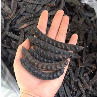  Bồ Kết Khô 1kg  bồ kết dé quả nhỏ mẩy hạt  