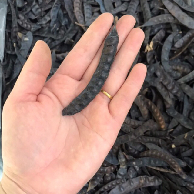 Bồ Kết Khô 100g