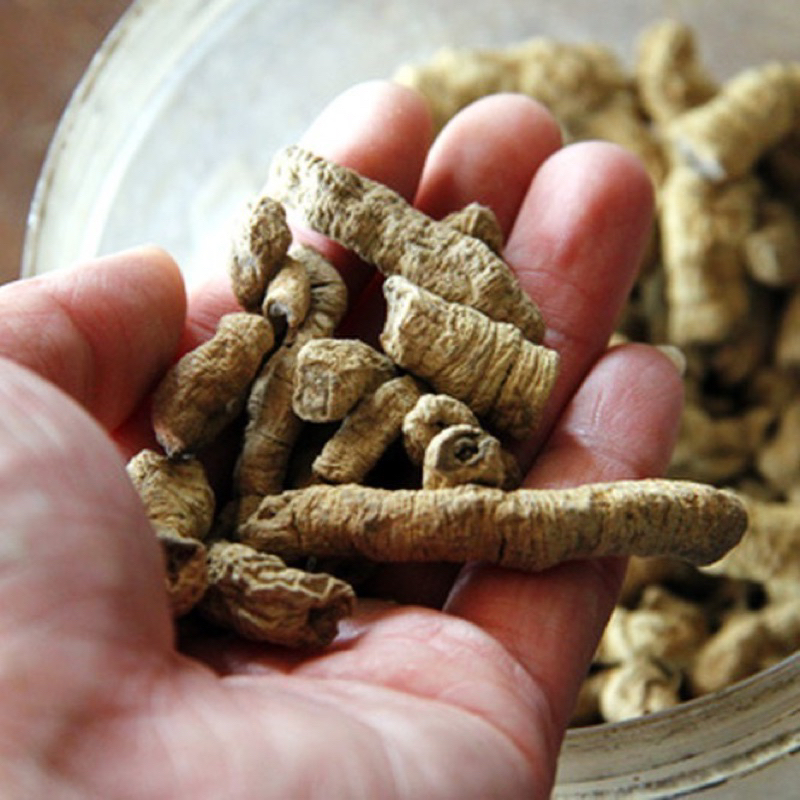 Ba Kích Tím Quảng Ninh Khô