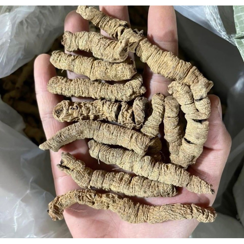 Ba Kích Tím Quảng Ninh Khô