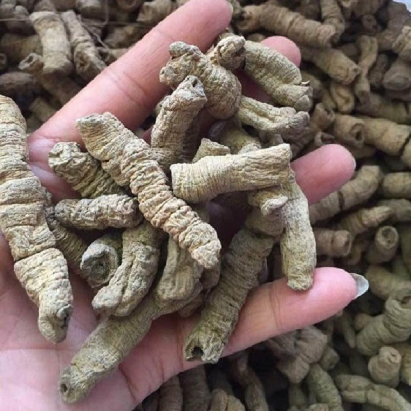 Ba Kích Tím Quảng Ninh Khô