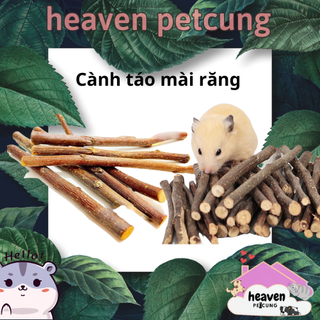 Cành Táo Mài Răng hamster thỏ bọ nhím sóc