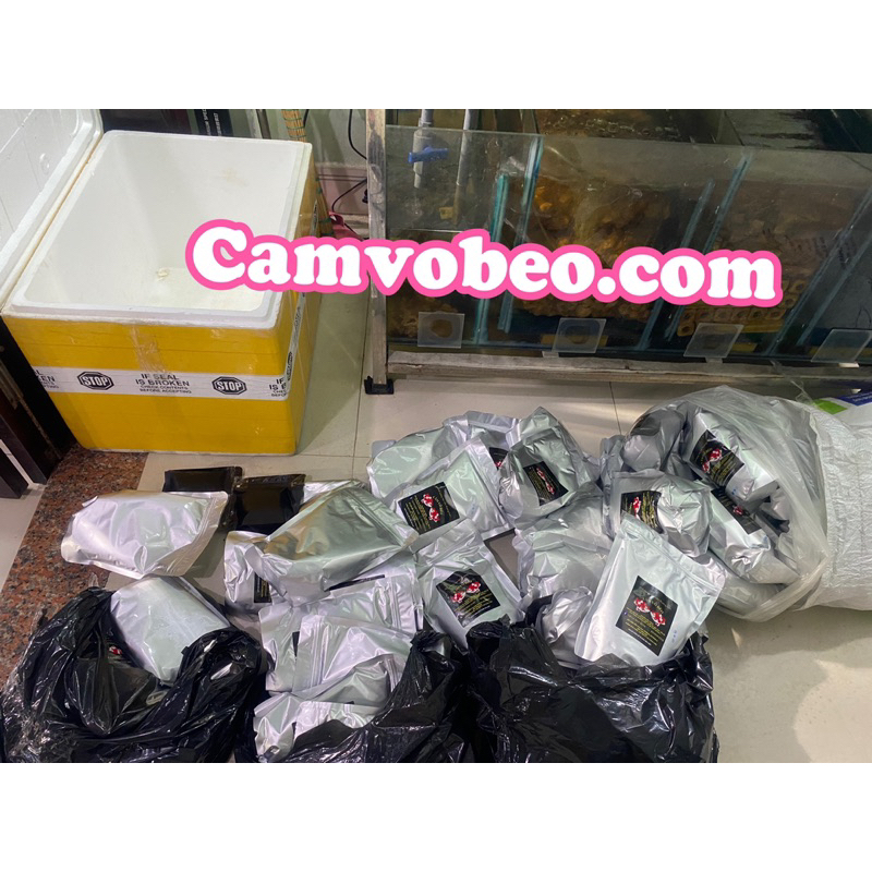 Cám cá vàng, cá chép, goldfish  chuyên thúc size cá - HẠT CHÌM 1mm - cám chăm heo nước