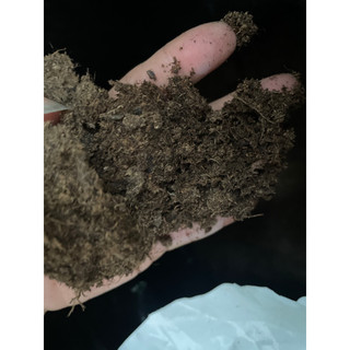 Giá thể ươm hạt Klasmann TS2 (đỏ)/ Peat Moss 1000gram (1kg)
