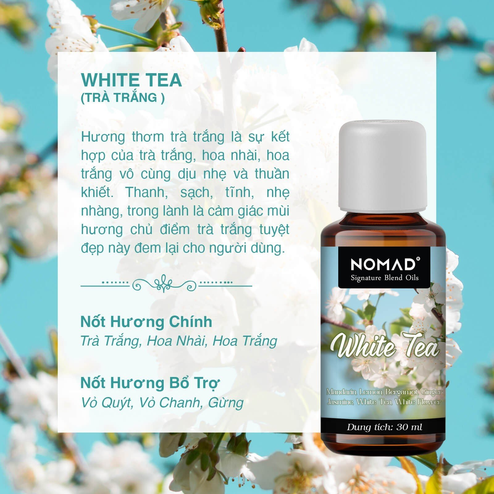 Tinh Dầu Trà Trắng Nomad Signature Blend Oils - White Tea