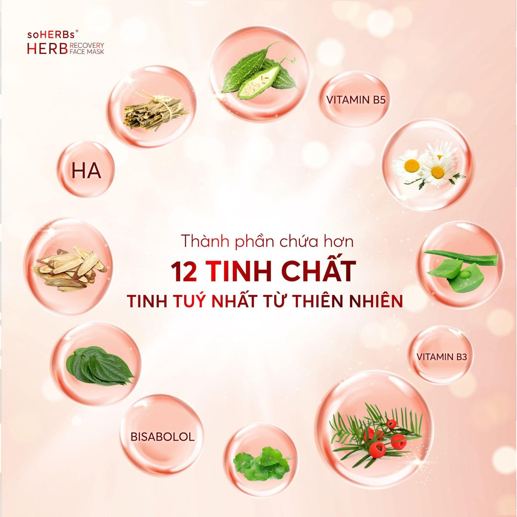 Mặt Nạ Thông Đỏ HERB - Dành Cho Da Mụn