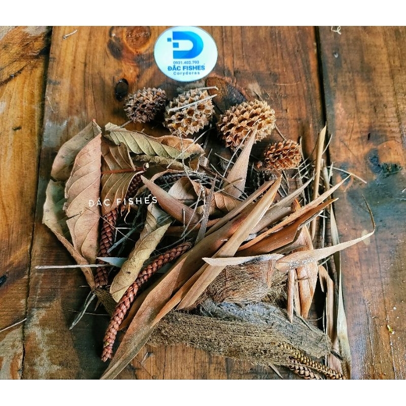 Combo trải nền biotop