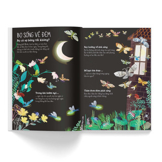 Sách - A lê hấp! Thế giới bọ