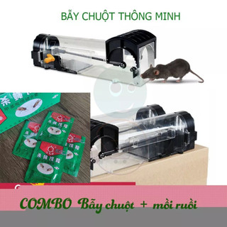 Bẫy chuột không lối thoát - chuyên bẫy chuột nhắt