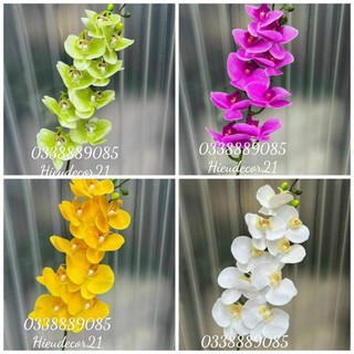 - hoa giả hoa lan hồ điệp cao su 9 bông - loại sịn