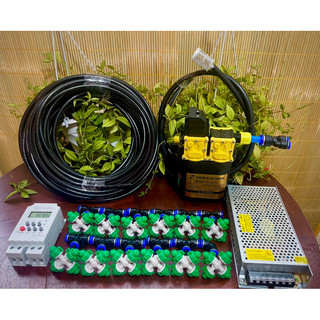 Bộ phun sương tưới lan tự động, tưới vườn lan hoặc rau tự động – 6 hoặc 12 béc phun sương 4 hướng