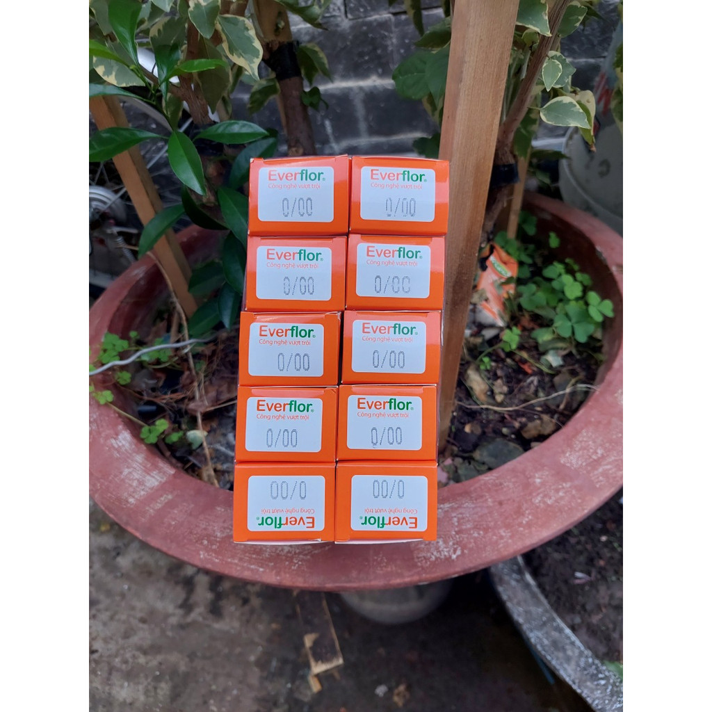 Combo 10tip nhuộm everfiof