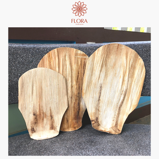 Quạt mo cau tự nhiên trang trí decor trung thu, quạt cầm tay